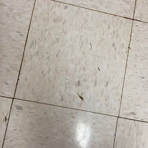 Meet your Posher, Kenan